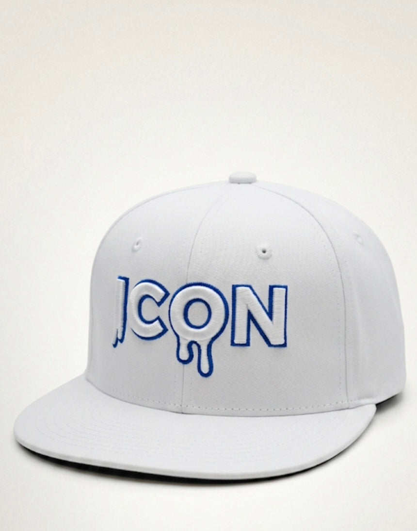 The 3D "Drip Icon" snapback